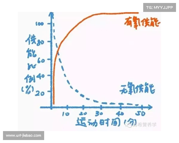 举重运动技术统计分析在级别调整后的重新评估与适应性研究 举重运动技术统计分析在级别调整后的重新评估与适应性研究